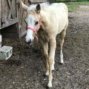 Meet your Posher, Joan marie